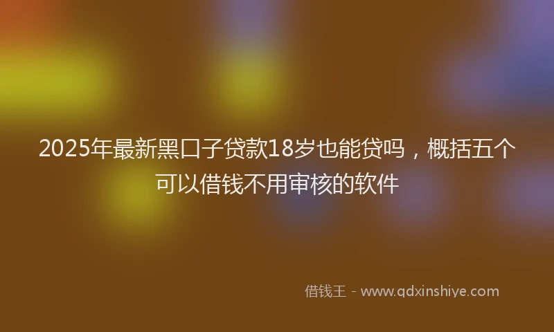 2025年最新黑口子贷款18岁也能贷吗，概括五个可以借钱不用审核的软件