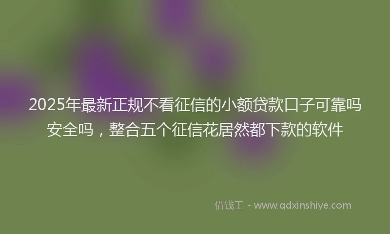 2025年最新正规不看征信的小额贷款口子可靠吗安全吗，整合五个征信花居然都下款的软件