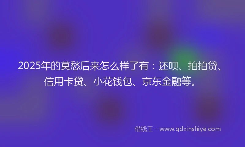 2025年的莫愁后来怎么样了有：还呗、拍拍贷、信用卡贷、小花钱包、京东金融等。