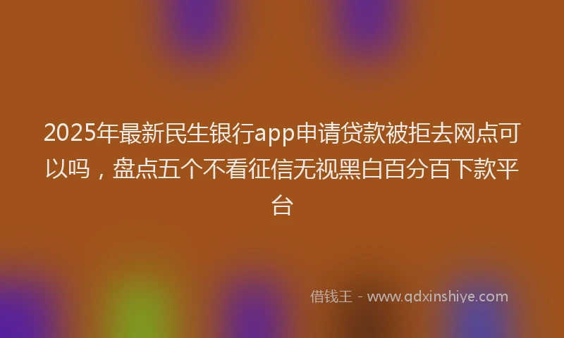 2025年最新民生银行app申请贷款被拒去网点可以吗，盘点五个不看征信无视黑白百分百下款平台