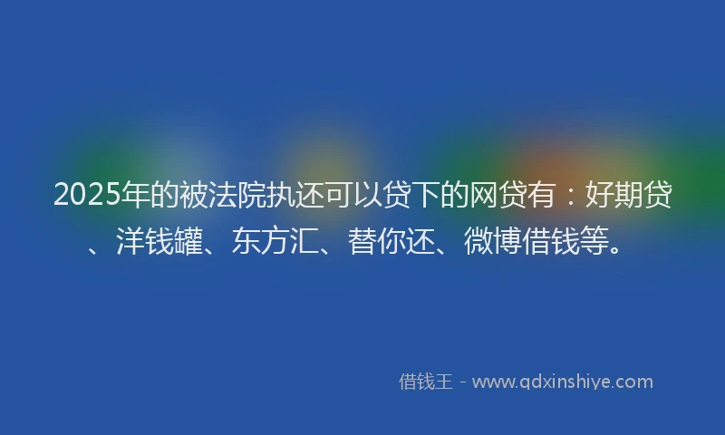 2025年的被法院执还可以贷下的网贷有：好期贷、洋钱罐、东方汇、替你还、微博借钱等。