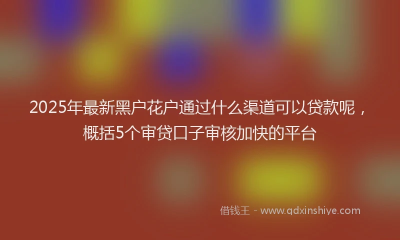 2025年最新黑户花户通过什么渠道可以贷款呢，概括5个审贷口子审核加快的平台