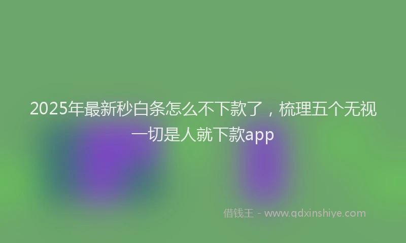 2025年最新秒白条怎么不下款了，梳理五个无视一切是人就下款app