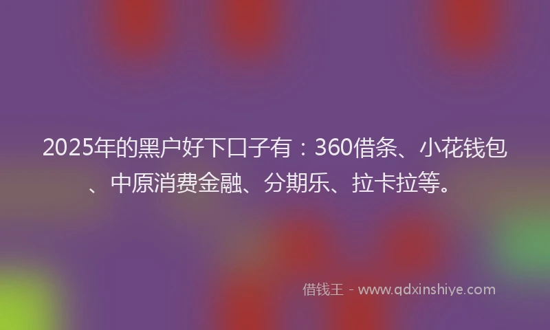 2025年的黑户好下口子有：360借条、小花钱包、中原消费金融、分期乐、拉卡拉等。