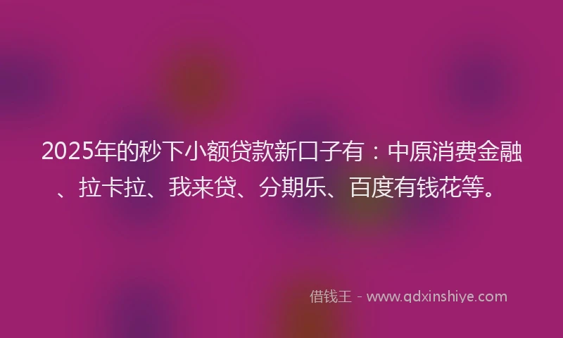 2025年的秒下小额贷款新口子有：中原消费金融、拉卡拉、我来贷、分期乐、百度有钱花等。