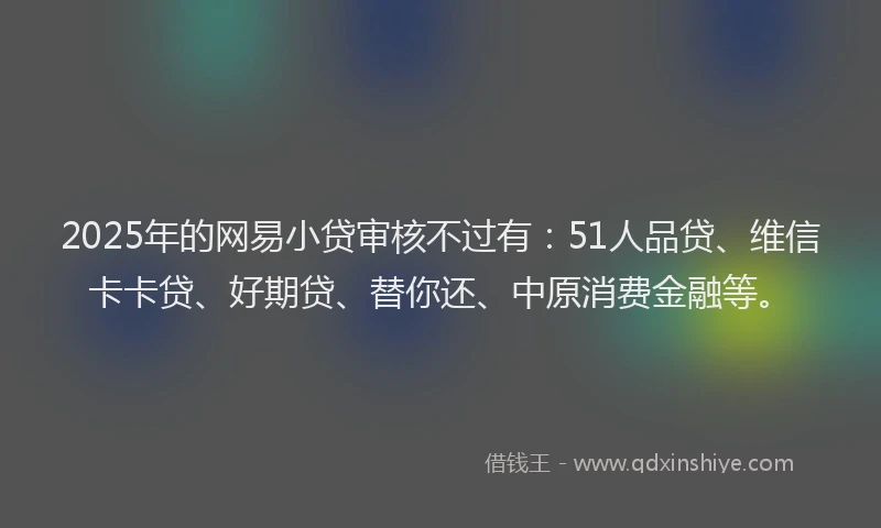 2025年的网易小贷审核不过有：51人品贷、维信卡卡贷、好期贷、替你还、中原消费金融等。