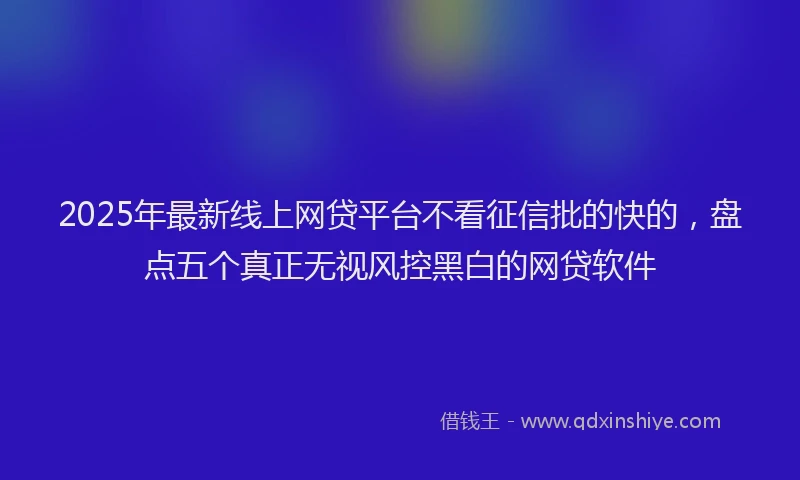 2025年最新线上网贷平台不看征信批的快的，盘点五个真正无视风控黑白的网贷软件