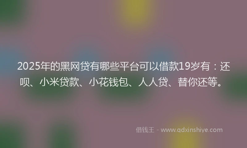 2025年的黑网贷有哪些平台可以借款19岁有：还呗、小米贷款、小花钱包、人人贷、替你还等。