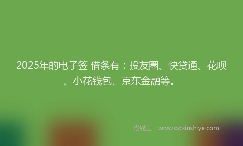 2025年的电子签 借条有：投友圈、快贷通、花呗、小花钱包、京东金融等。