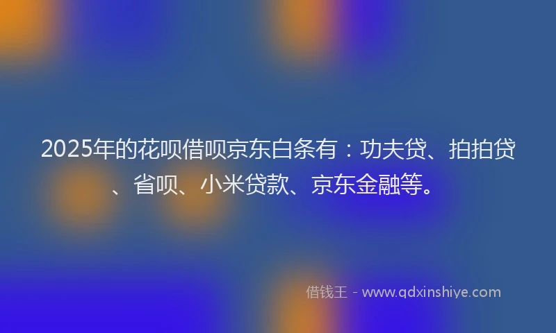2025年的花呗借呗京东白条有：功夫贷、拍拍贷、省呗、小米贷款、京东金融等。
