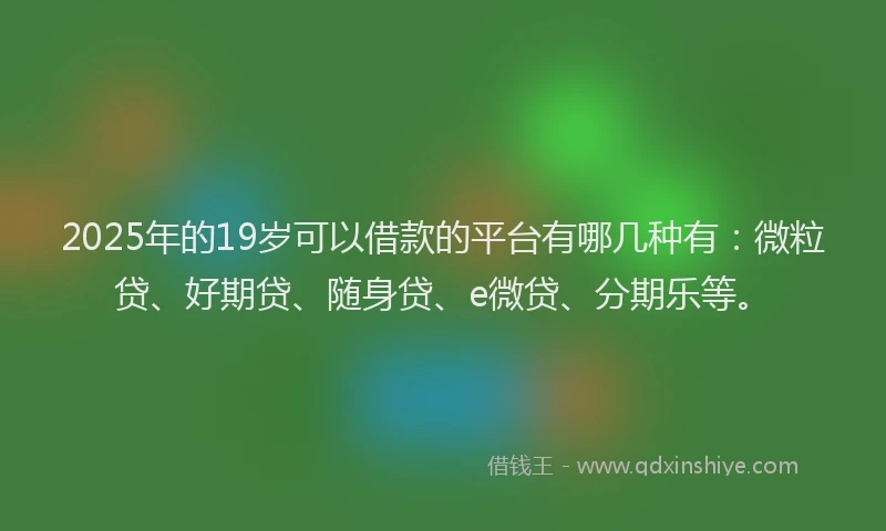 2025年的19岁可以借款的平台有哪几种有：微粒贷、好期贷、随身贷、e微贷、分期乐等。
