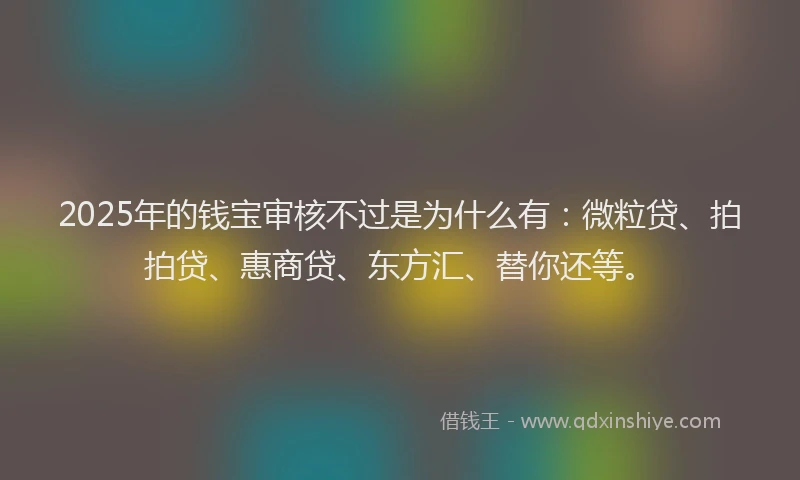 2025年的钱宝审核不过是为什么有：微粒贷、拍拍贷、惠商贷、东方汇、替你还等。