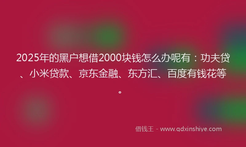 2025年的黑户想借2000块钱怎么办呢有：功夫贷、小米贷款、京东金融、东方汇、百度有钱花等。