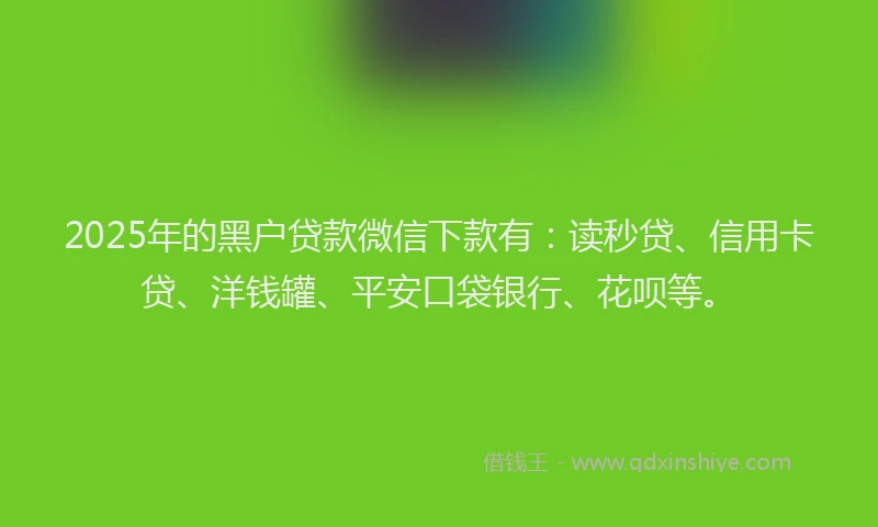 2025年的黑户贷款微信下款有：读秒贷、信用卡贷、洋钱罐、平安口袋银行、花呗等。