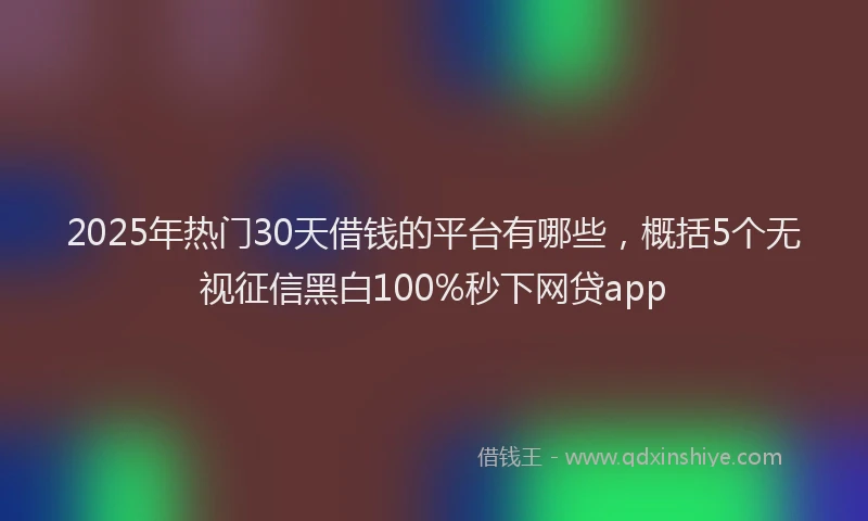 2025年热门30天借钱的平台有哪些，概括5个无视征信黑白100%秒下网贷app