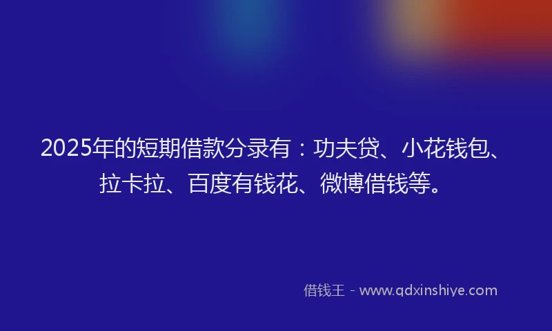 2025年的短期借款分录有：功夫贷、小花钱包、拉卡拉、百度有钱花、微博借钱等。