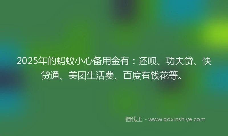 2025年的蚂蚁小心备用金有：还呗、功夫贷、快贷通、美团生活费、百度有钱花等。