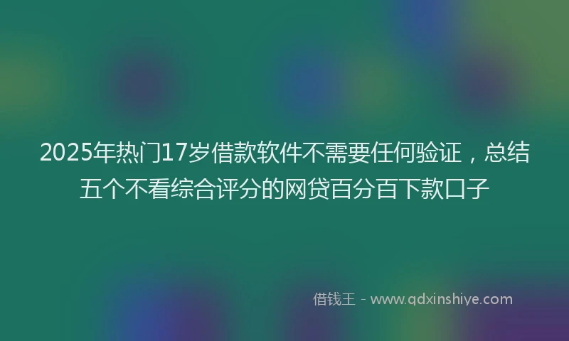 2025年热门17岁借款软件不需要任何验证，总结五个不看综合评分的网贷百分百下款口子
