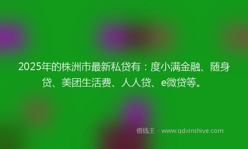 2025年的株洲市最新私贷有：度小满金融、随身贷、美团生活费、人人贷、e微贷等。