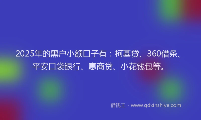 2025年的黑户小额口子有：柯基贷、360借条、平安口袋银行、惠商贷、小花钱包等。