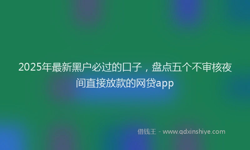 2025年最新黑户必过的口子，盘点五个不审核夜间直接放款的网贷app