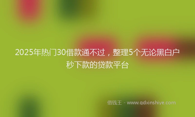 2025年热门30借款通不过，整理5个无论黑白户秒下款的贷款平台