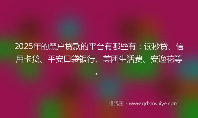 2025年的黑户贷款的平台有哪些有：读秒贷、信用卡贷、平安口袋银行、美团生活费、安逸花等。