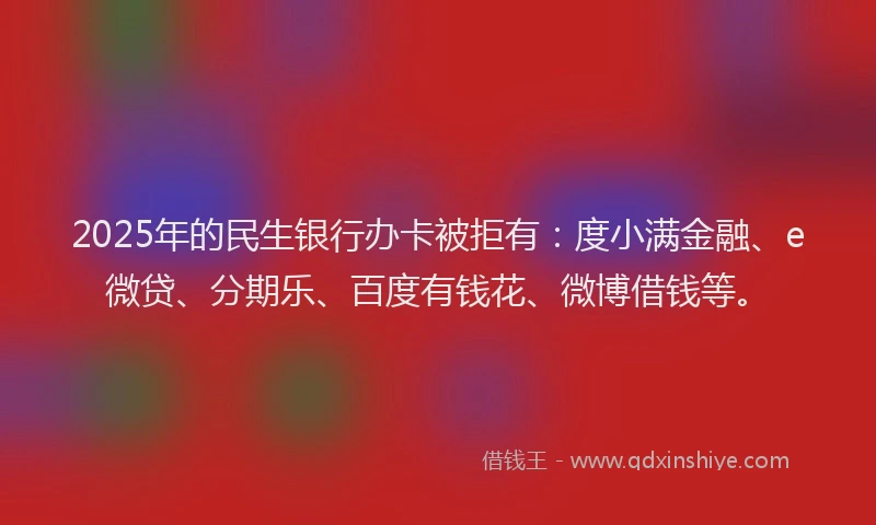2025年的民生银行办卡被拒有：度小满金融、e微贷、分期乐、百度有钱花、微博借钱等。