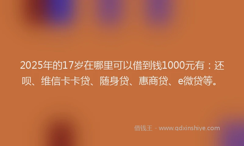 2025年的17岁在哪里可以借到钱1000元有：还呗、维信卡卡贷、随身贷、惠商贷、e微贷等。