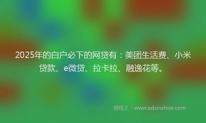 2025年的白户必下的网贷有：美团生活费、小米贷款、e微贷、拉卡拉、融逸花等。