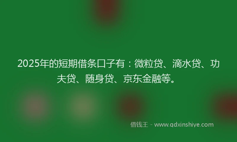 2025年的短期借条口子有：微粒贷、滴水贷、功夫贷、随身贷、京东金融等。