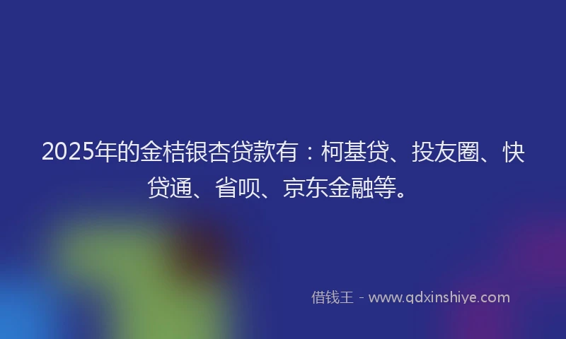 2025年的金桔银杏贷款有：柯基贷、投友圈、快贷通、省呗、京东金融等。
