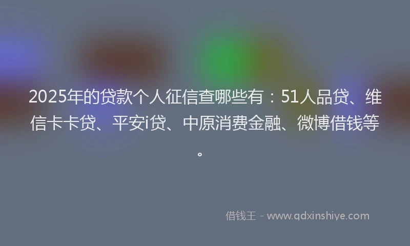 2025年的贷款个人征信查哪些有：51人品贷、维信卡卡贷、平安i贷、中原消费金融、微博借钱等。