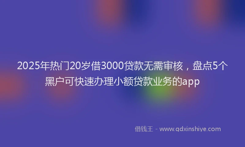 2025年热门20岁借3000贷款无需审核，盘点5个黑户可快速办理小额贷款业务的app