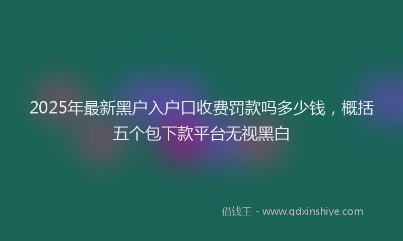 2025年最新黑户入户口收费罚款吗多少钱，概括五个包下款平台无视黑白