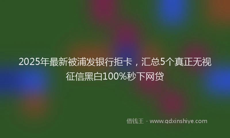 2025年最新被浦发银行拒卡，汇总5个真正无视征信黑白100%秒下网贷