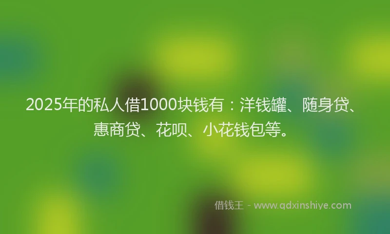 2025年的私人借1000块钱有：洋钱罐、随身贷、惠商贷、花呗、小花钱包等。
