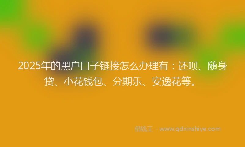 2025年的黑户口子链接怎么办理有：还呗、随身贷、小花钱包、分期乐、安逸花等。