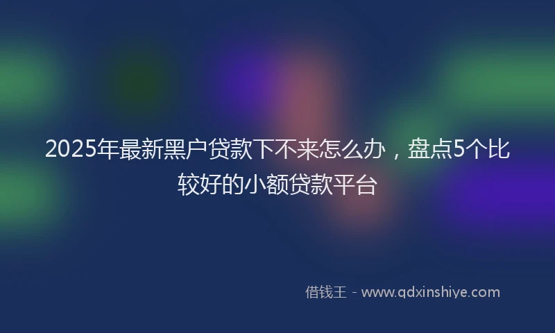 2025年最新黑户贷款下不来怎么办，盘点5个比较好的小额贷款平台