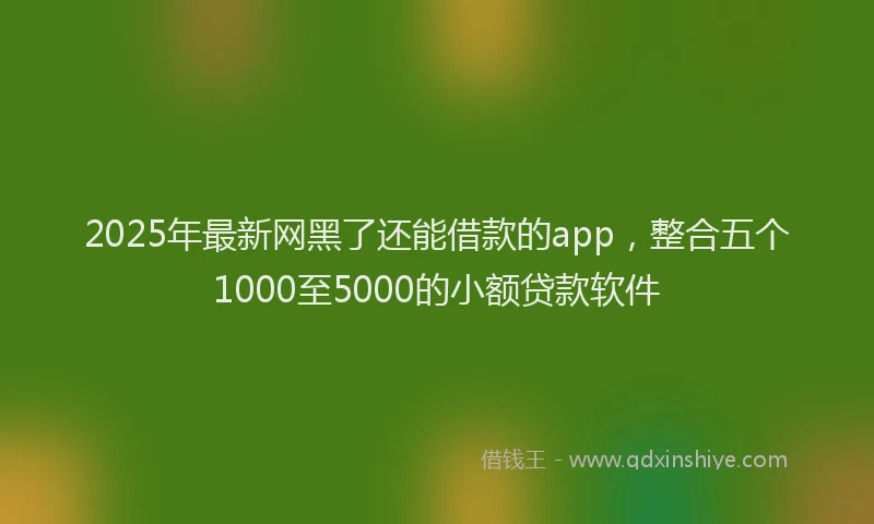 2025年最新网黑了还能借款的app，整合五个1000至5000的小额贷款软件