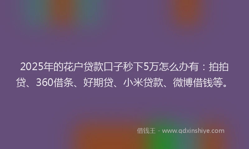 2025年的花户贷款口子秒下5万怎么办有：拍拍贷、360借条、好期贷、小米贷款、微博借钱等。