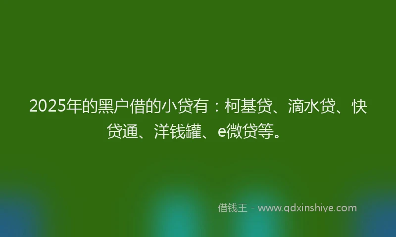 2025年的黑户借的小贷有：柯基贷、滴水贷、快贷通、洋钱罐、e微贷等。