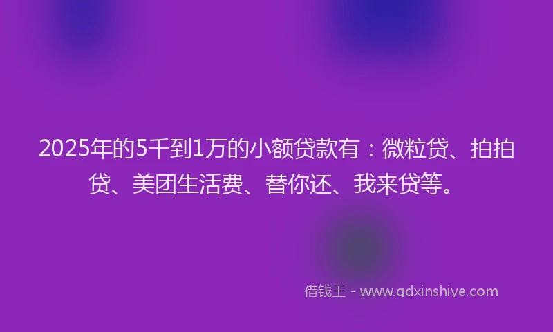 2025年的5千到1万的小额贷款有：微粒贷、拍拍贷、美团生活费、替你还、我来贷等。