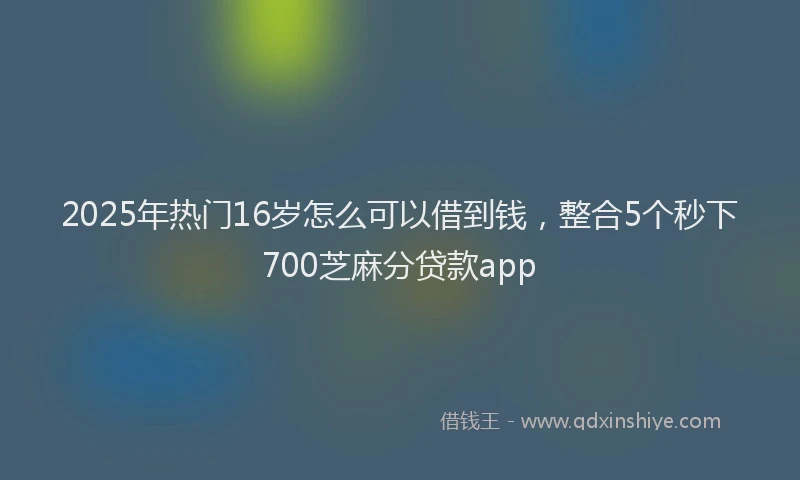 2025年热门16岁怎么可以借到钱，整合5个秒下700芝麻分贷款app