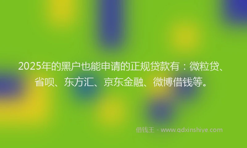 2025年的黑户也能申请的正规贷款有：微粒贷、省呗、东方汇、京东金融、微博借钱等。