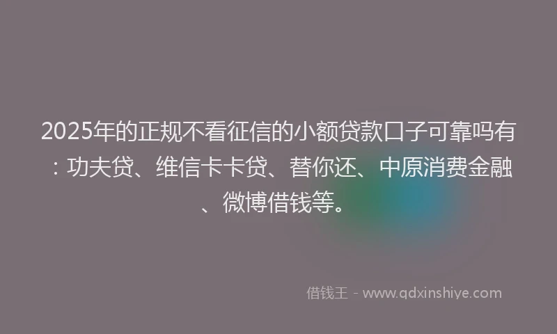 2025年的正规不看征信的小额贷款口子可靠吗有：功夫贷、维信卡卡贷、替你还、中原消费金融、微博借钱等。