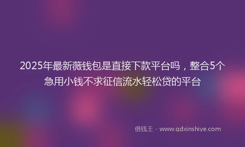 2025年最新薇钱包是直接下款平台吗，整合5个急用小钱不求征信流水轻松贷的平台