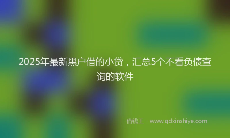 2025年最新黑户借的小贷，汇总5个不看负债查询的软件