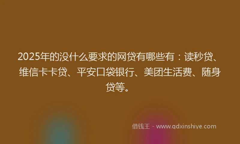 2025年的没什么要求的网贷有哪些有：读秒贷、维信卡卡贷、平安口袋银行、美团生活费、随身贷等。