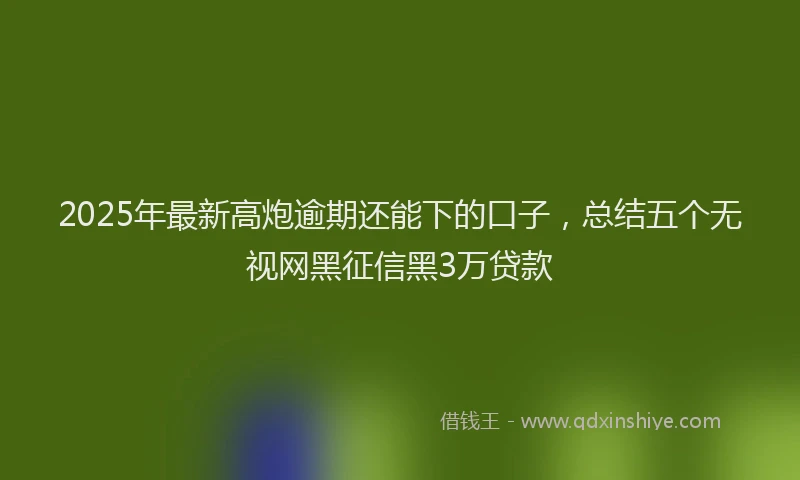 2025年最新高炮逾期还能下的口子，总结五个无视网黑征信黑3万贷款